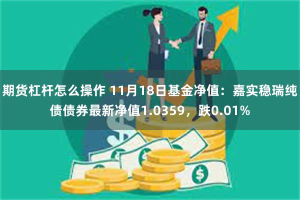 期货杠杆怎么操作 11月18日基金净值：嘉实稳瑞纯债债券最新净值1.0359，跌0.01%