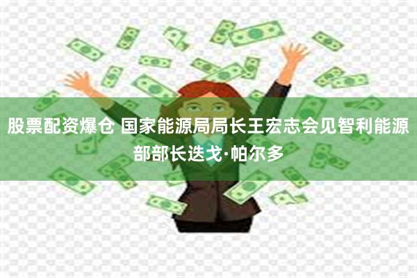 股票配资爆仓 国家能源局局长王宏志会见智利能源部部长迭戈·帕尔多