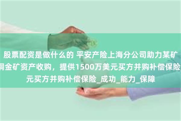股票配资是做什么的 平安产险上海分公司助力某矿业公司完成海外铜金矿资产收购，提供1500万美元买方并购补偿保险_成功_能力_保障
