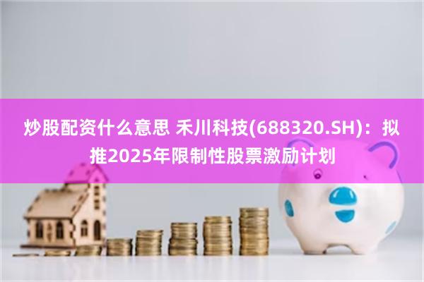炒股配资什么意思 禾川科技(688320.SH)：拟推2025年限制性股票激励计划