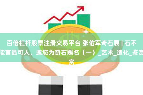 百倍杠杆股票注册交易平台 张佑军奇石展 | 石不能言最可人，邀您为奇石赐名（一）_艺术_造化_鉴赏