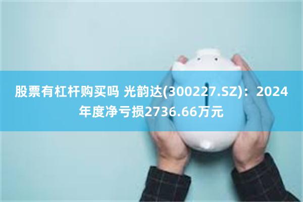 股票有杠杆购买吗 光韵达(300227.SZ)：2024年度净亏损2736.66万元