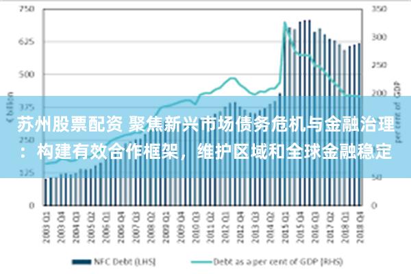 苏州股票配资 聚焦新兴市场债务危机与金融治理：构建有效合作框架，维护区域和全球金融稳定