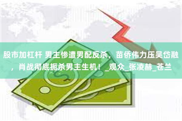 股市加杠杆 男主惨遭男配反杀，苗侨伟力压吴岱融，肖战彻底扼杀男主生机！_观众_张凌赫_苍兰