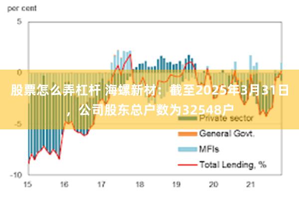 股票怎么弄杠杆 海螺新材：截至2025年3月31日，公司股东总户数为32548户