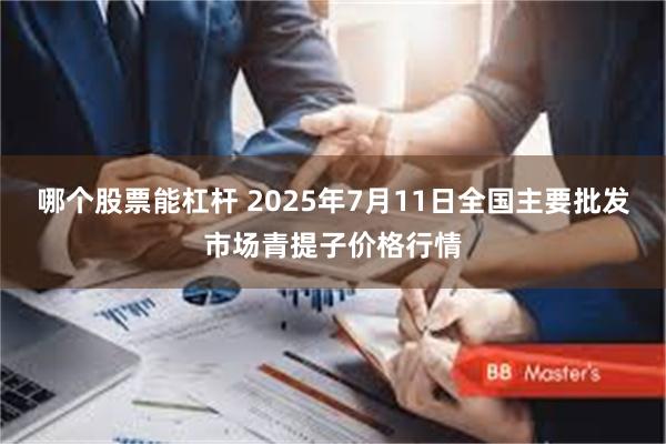 哪个股票能杠杆 2025年7月11日全国主要批发市场青提子价格行情