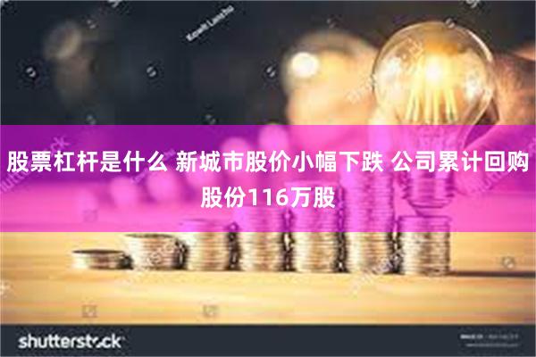 股票杠杆是什么 新城市股价小幅下跌 公司累计回购股份116万股