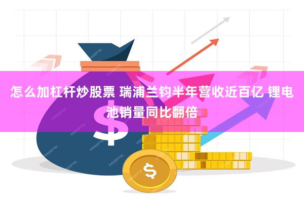 怎么加杠杆炒股票 瑞浦兰钧半年营收近百亿 锂电池销量同比翻倍