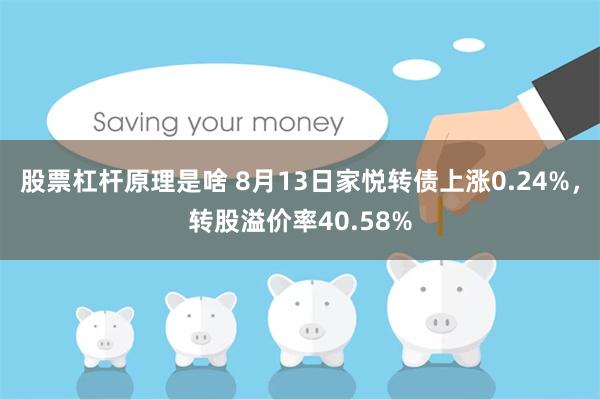 股票杠杆原理是啥 8月13日家悦转债上涨0.24%，转股溢价率40.58%
