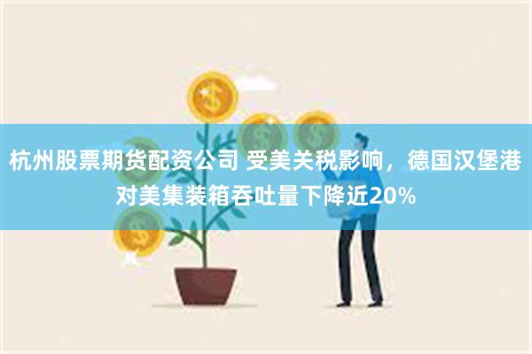 杭州股票期货配资公司 受美关税影响，德国汉堡港对美集装箱吞吐量下降近20%